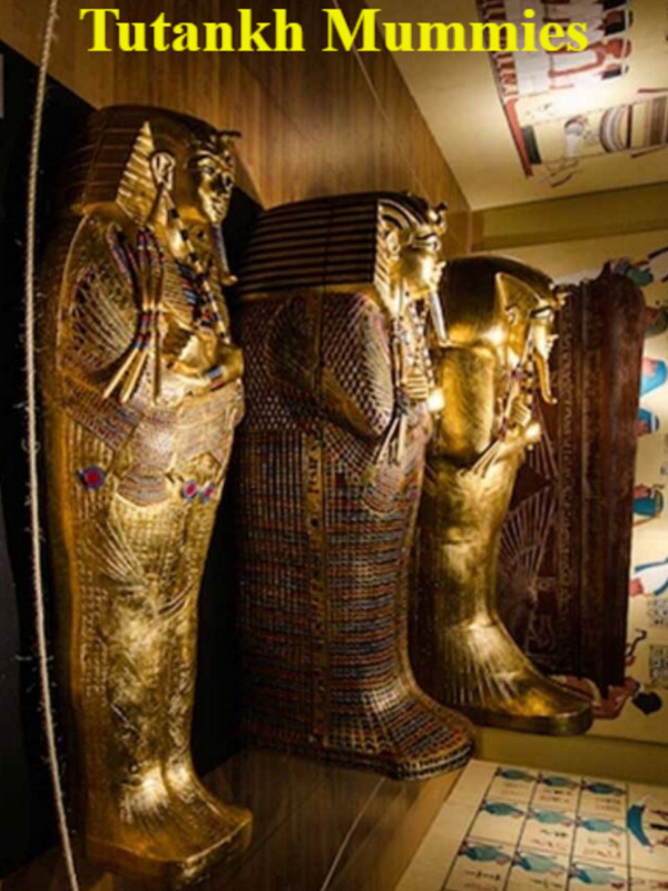 Tutankh Mummies